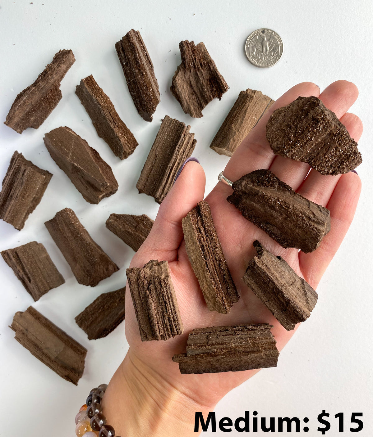 Permineralized Wood Specimens