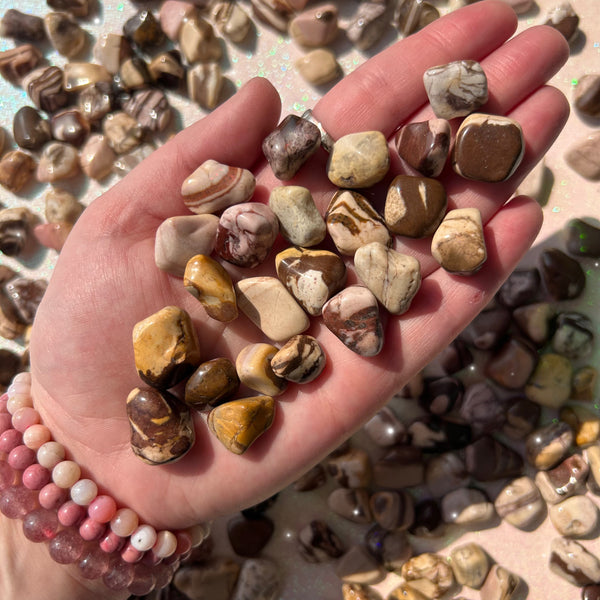 Red Zebra Jasper Tumbled Pocket Stones - Rocks with Sass