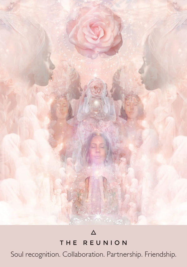 趣味+スポーツ+実用 The RoseOracle &amp; The HealingWatersOracle The Rose Oracle Deck - Rocks with Sass