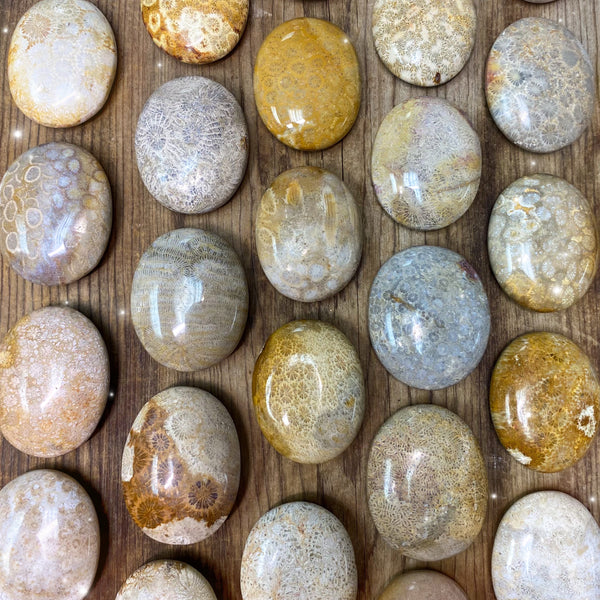 いこまる★PRECIOUS STONES PRINT BULOUSON Fossil Coral Cabochon, Black Fossil Coral Crystal, Fossil Coral