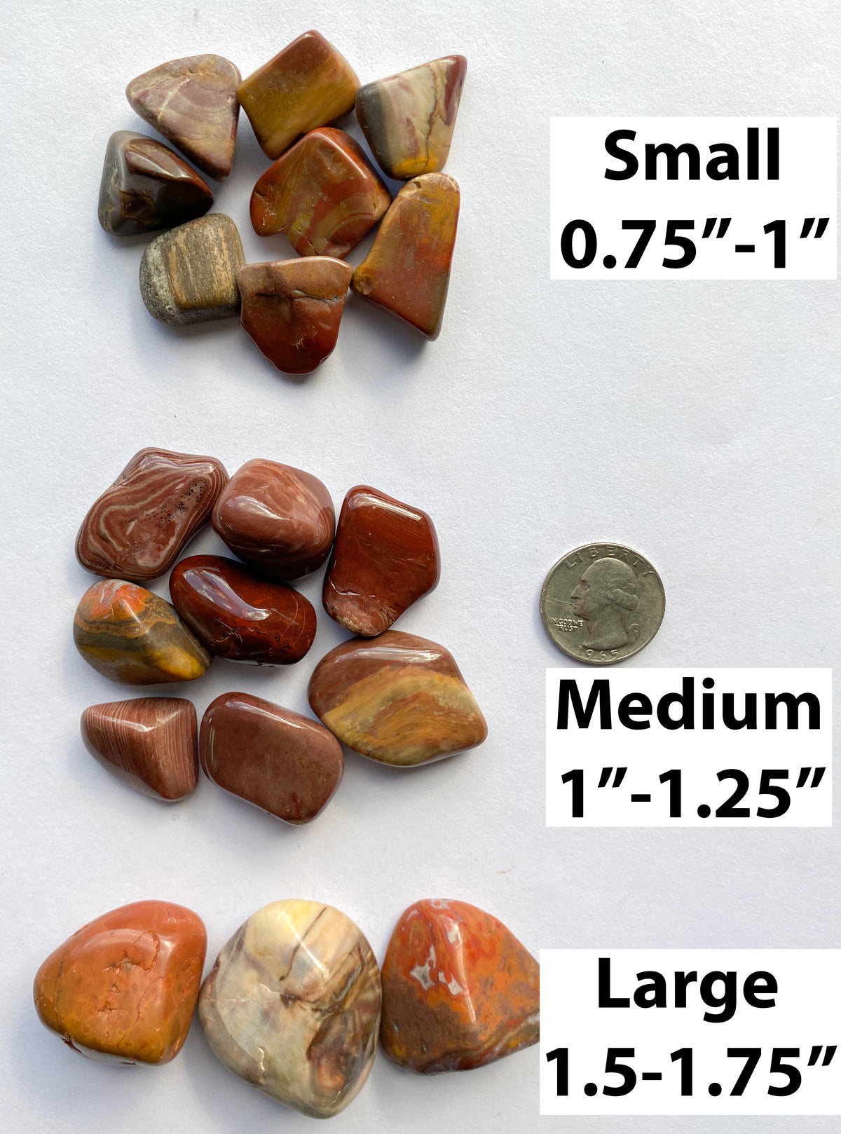 Petrified Wood Tumbled Pocket Stones