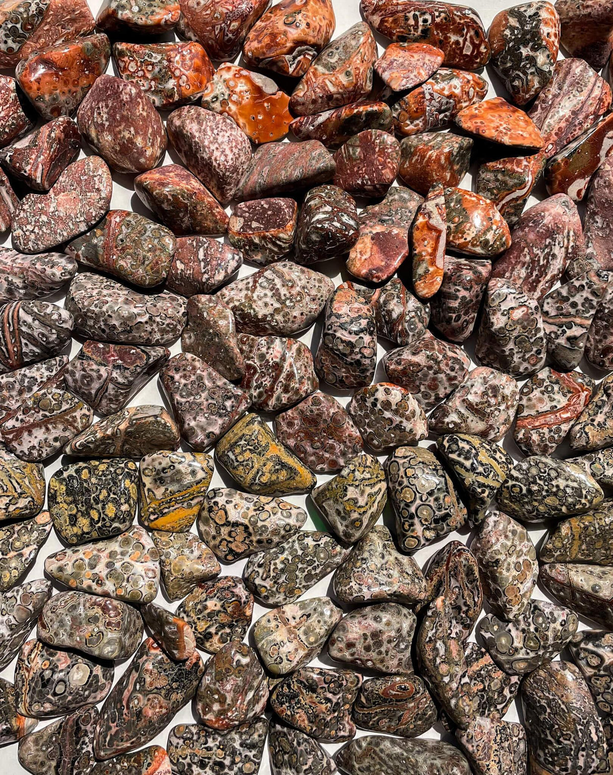 Leopard Skin Jasper Tumbled Pocket Stone