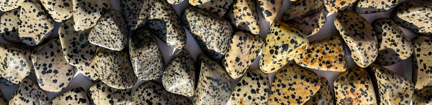 Dalmatian Jasper