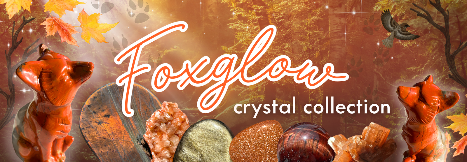 Foxglow