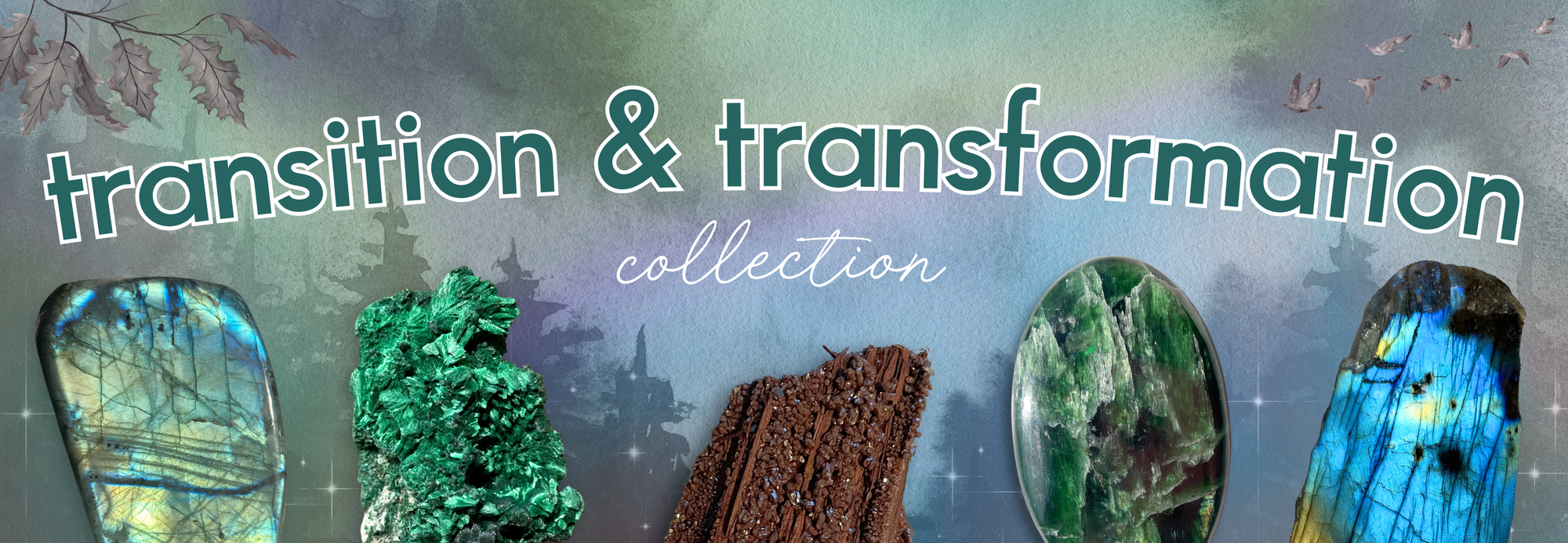 Transition & Transformation