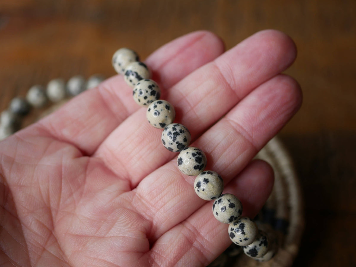 Dalmatian Jasper Bracelet