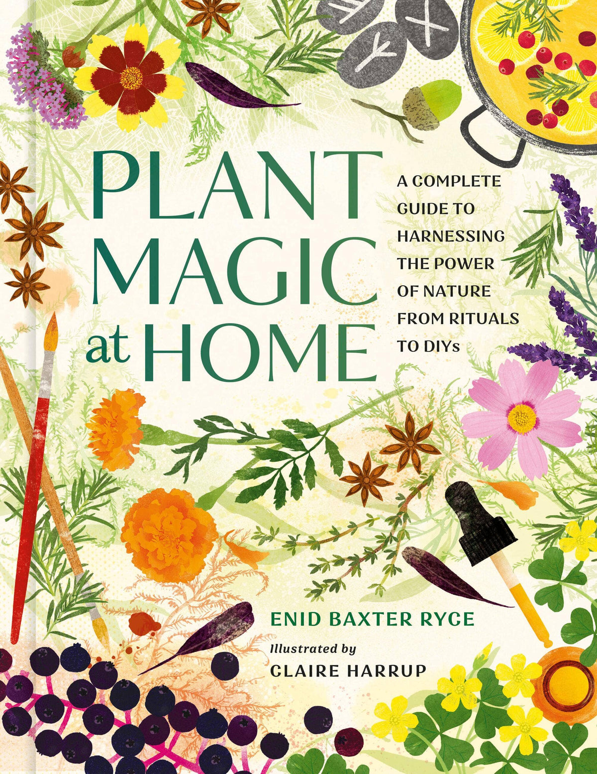 Plant Magic At Home