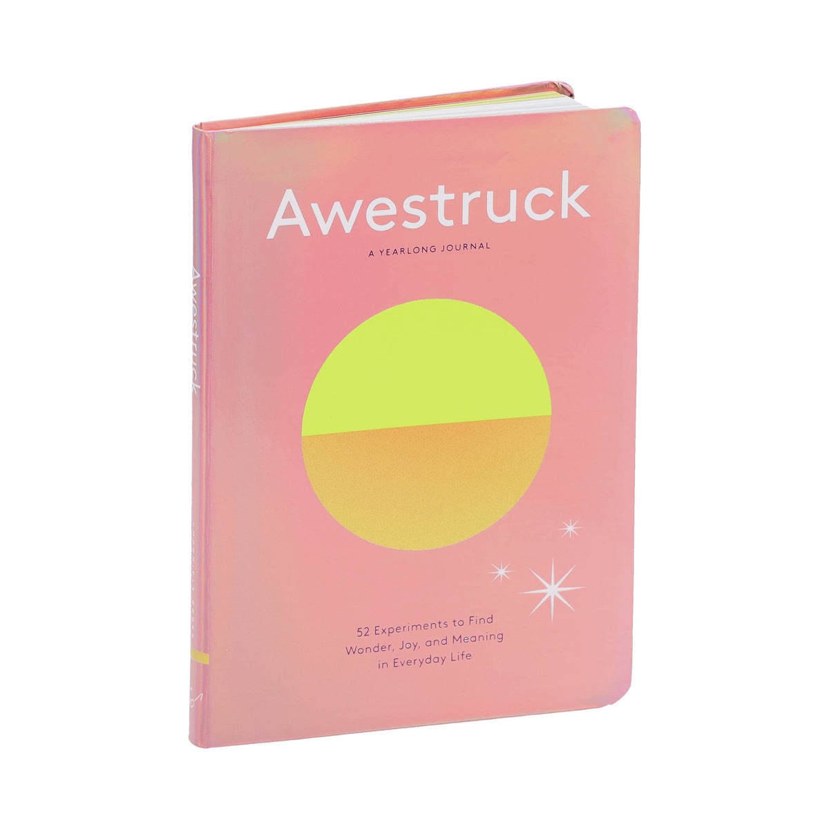 Awestruck: A Yearlong Journal