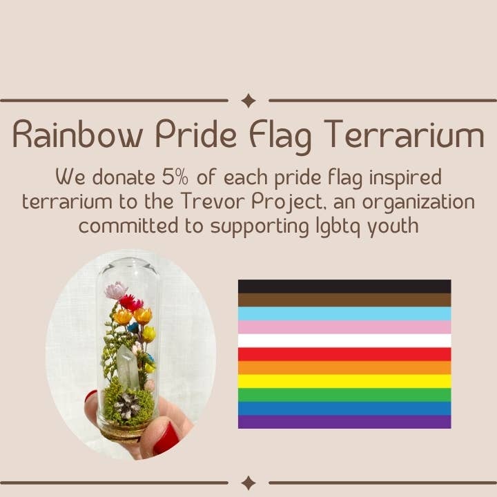 Rainbow Pride Flag Mini Cloche Terrarium