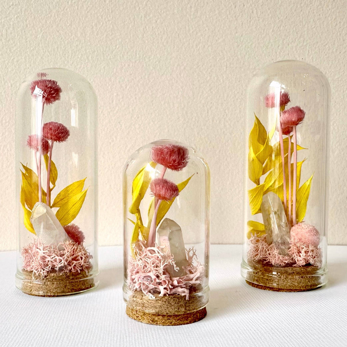 Pink Crystal Fairy Garden Mini Glass Cloche Terrarium