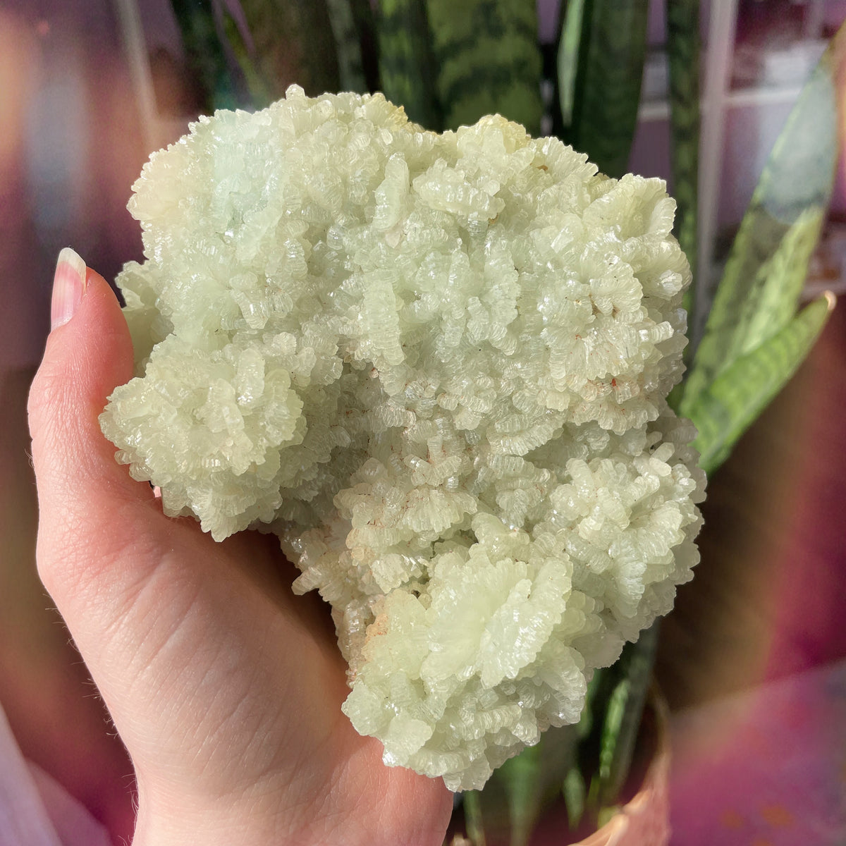 Prehnite Statement Cluster - B