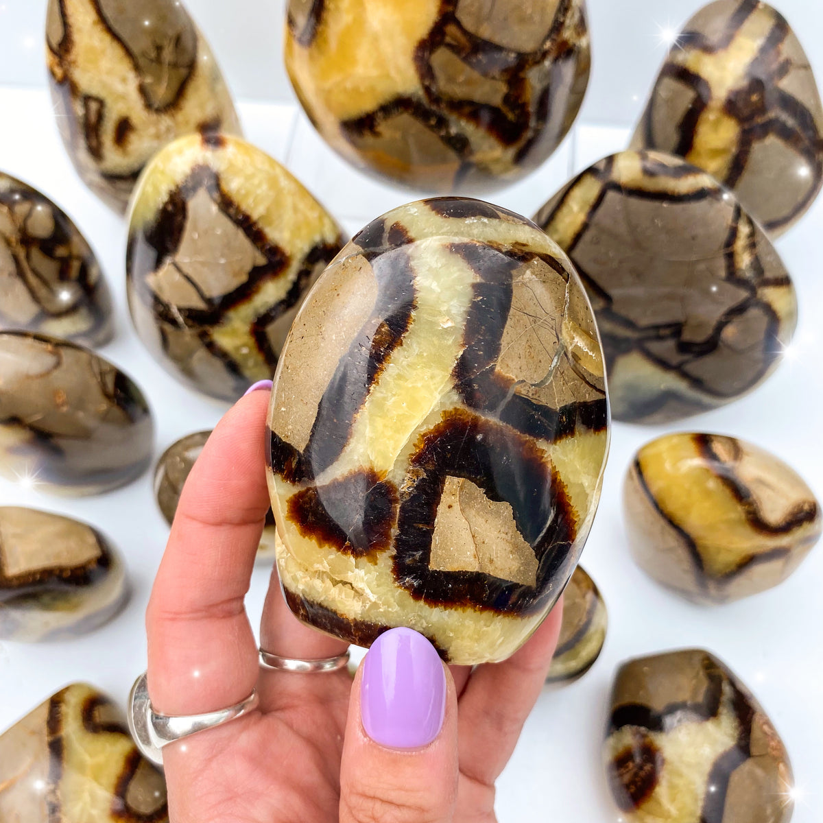 Septarian Freeforms