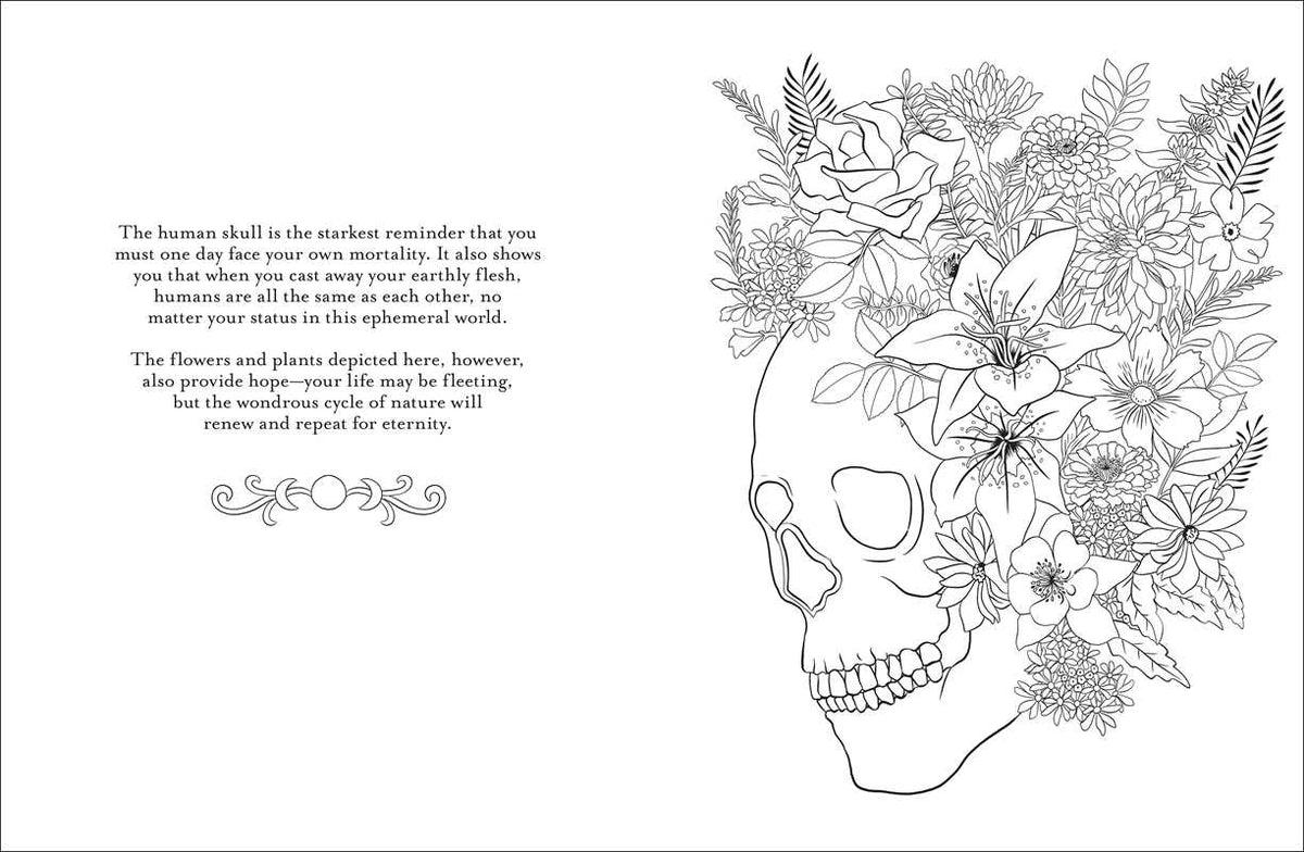 Believe in Magic: An Enchanting Coloring Book