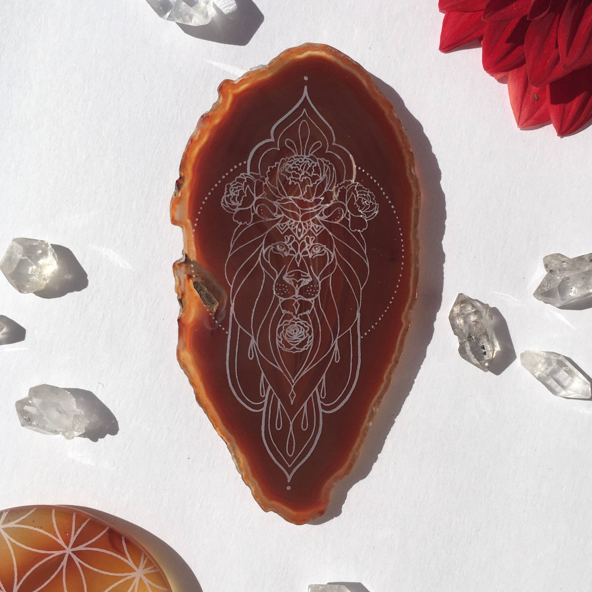 Leo Zodiac Symbol Agate Slice
