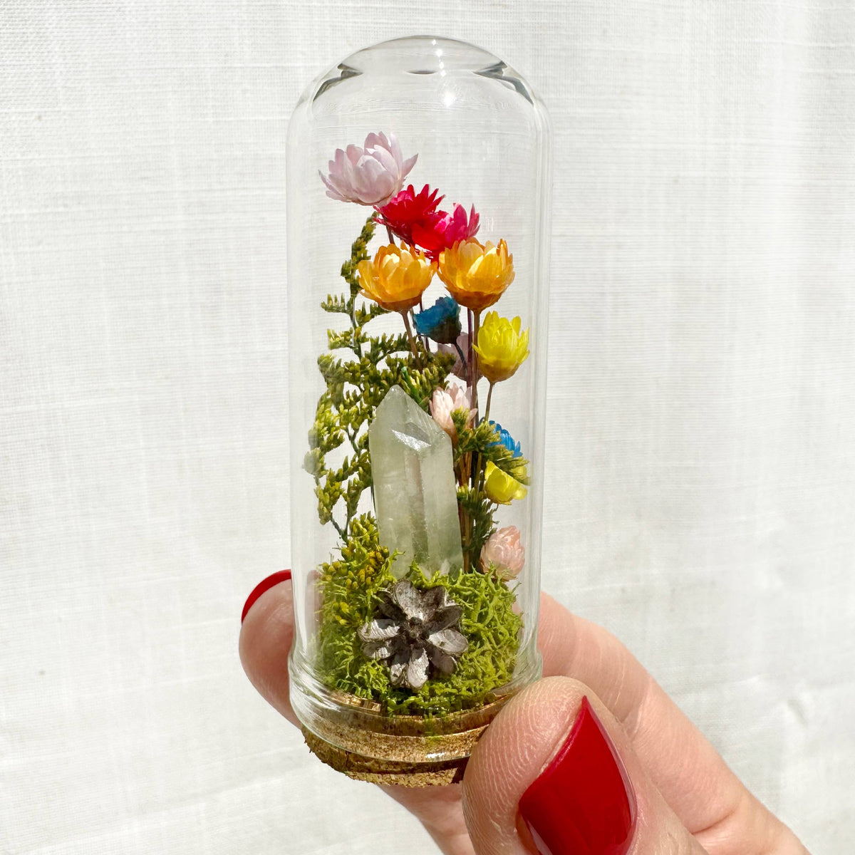 Rainbow Pride Flag Mini Cloche Terrarium