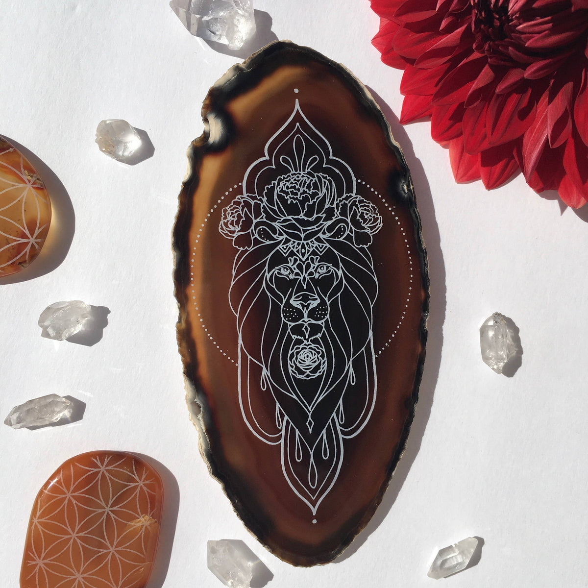 Leo Zodiac Symbol Agate Slice