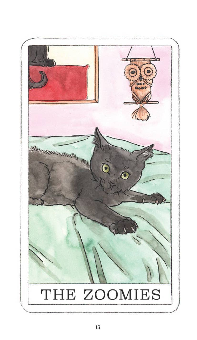 Kitten Oracle