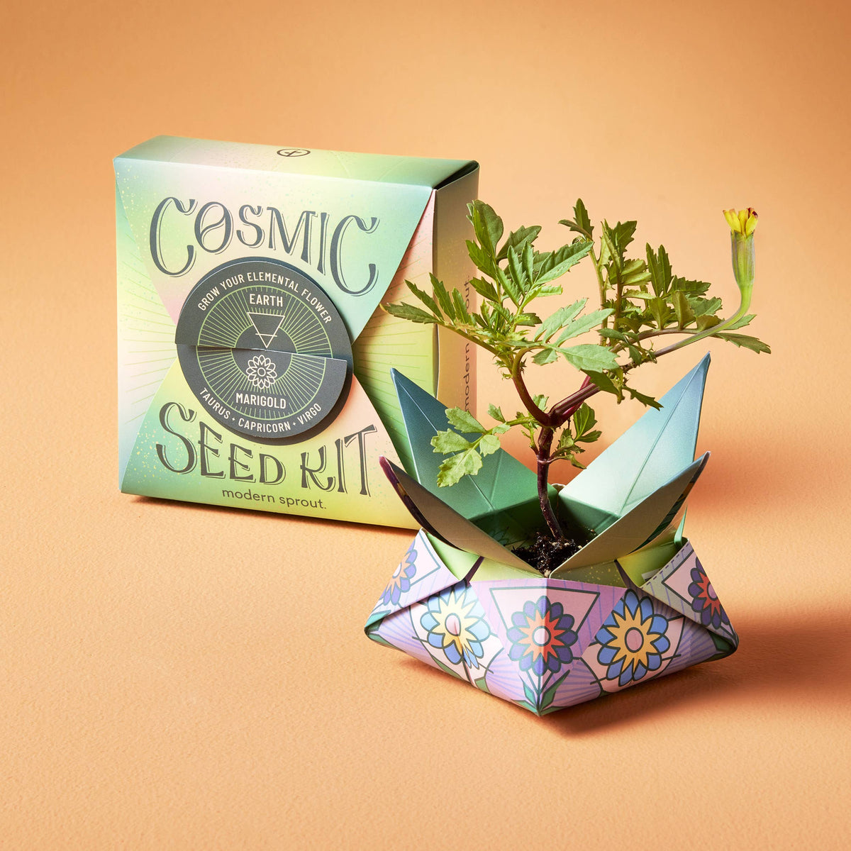 Cosmic Seed Kit: Earth - Marigold