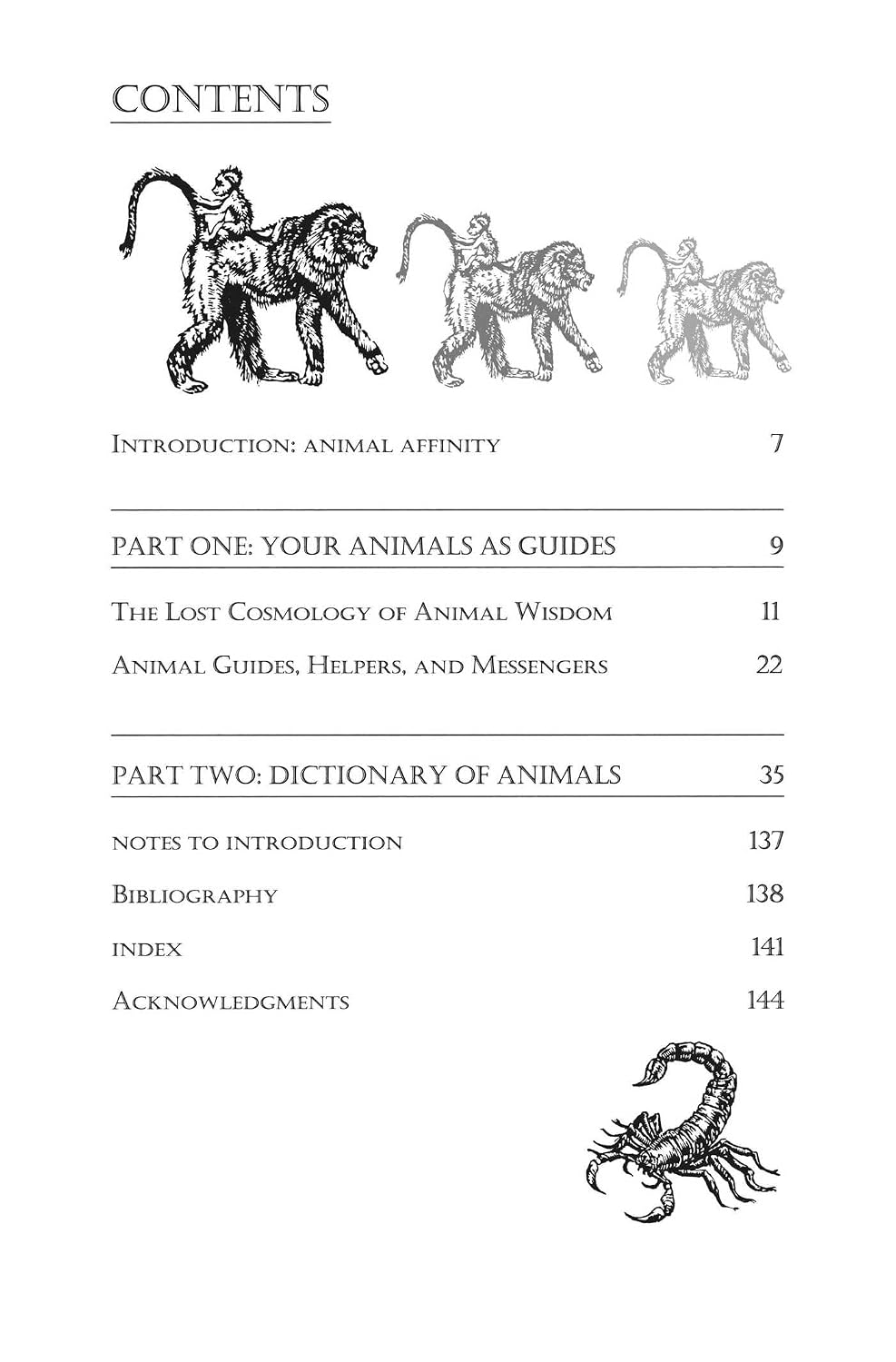 Teachings From Our Animal Spirit Guides