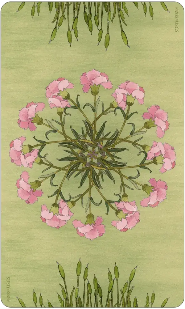 Wing, Hoof, and Paw: An Animal Companion Oracle