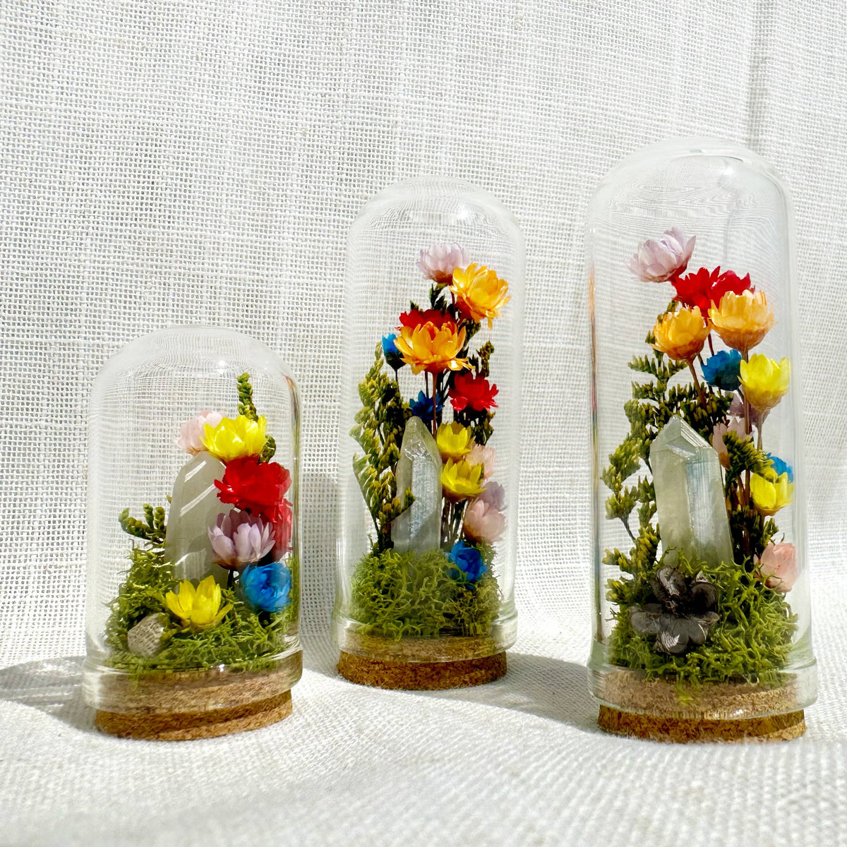 Rainbow Pride Flag Mini Cloche Terrarium