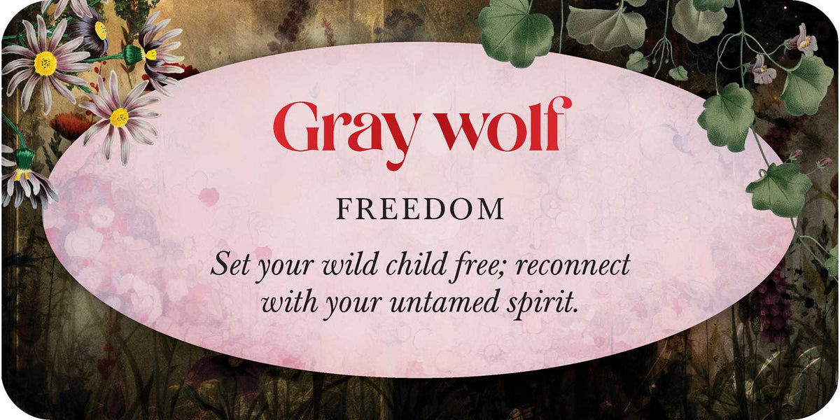 Animal Guides Affirmation Deck
