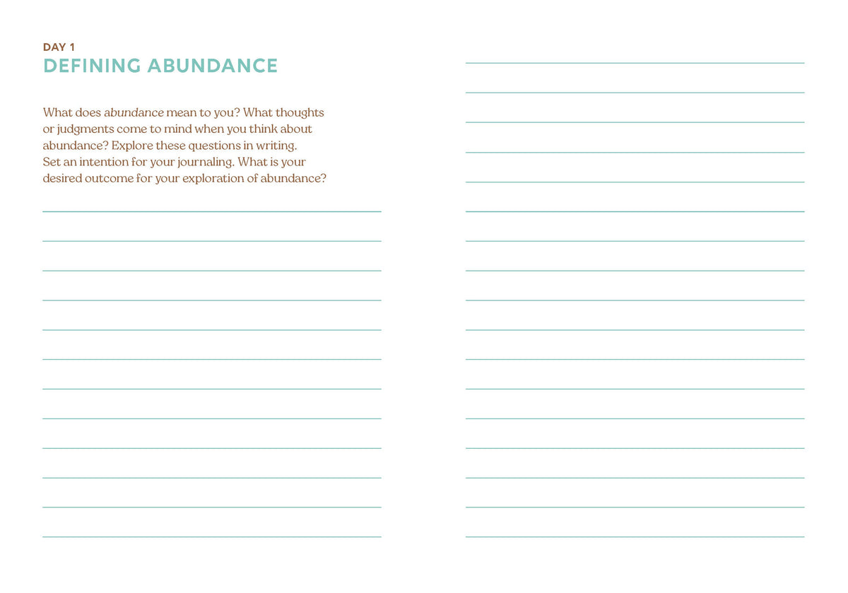 Abundance Book