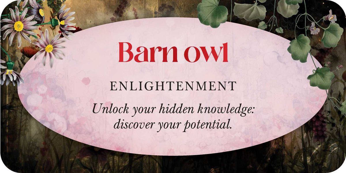 Animal Guides Affirmation Deck