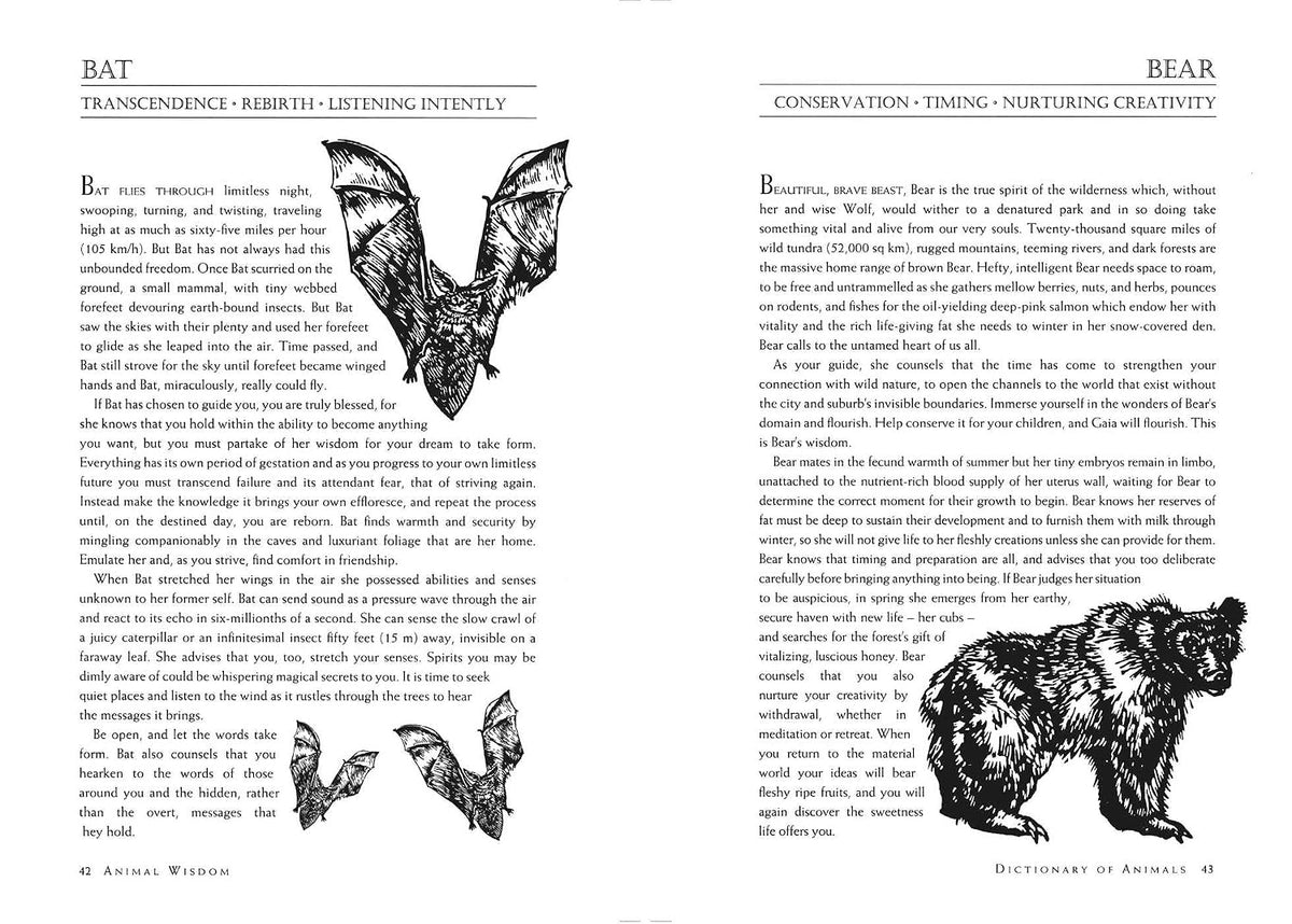 Teachings From Our Animal Spirit Guides