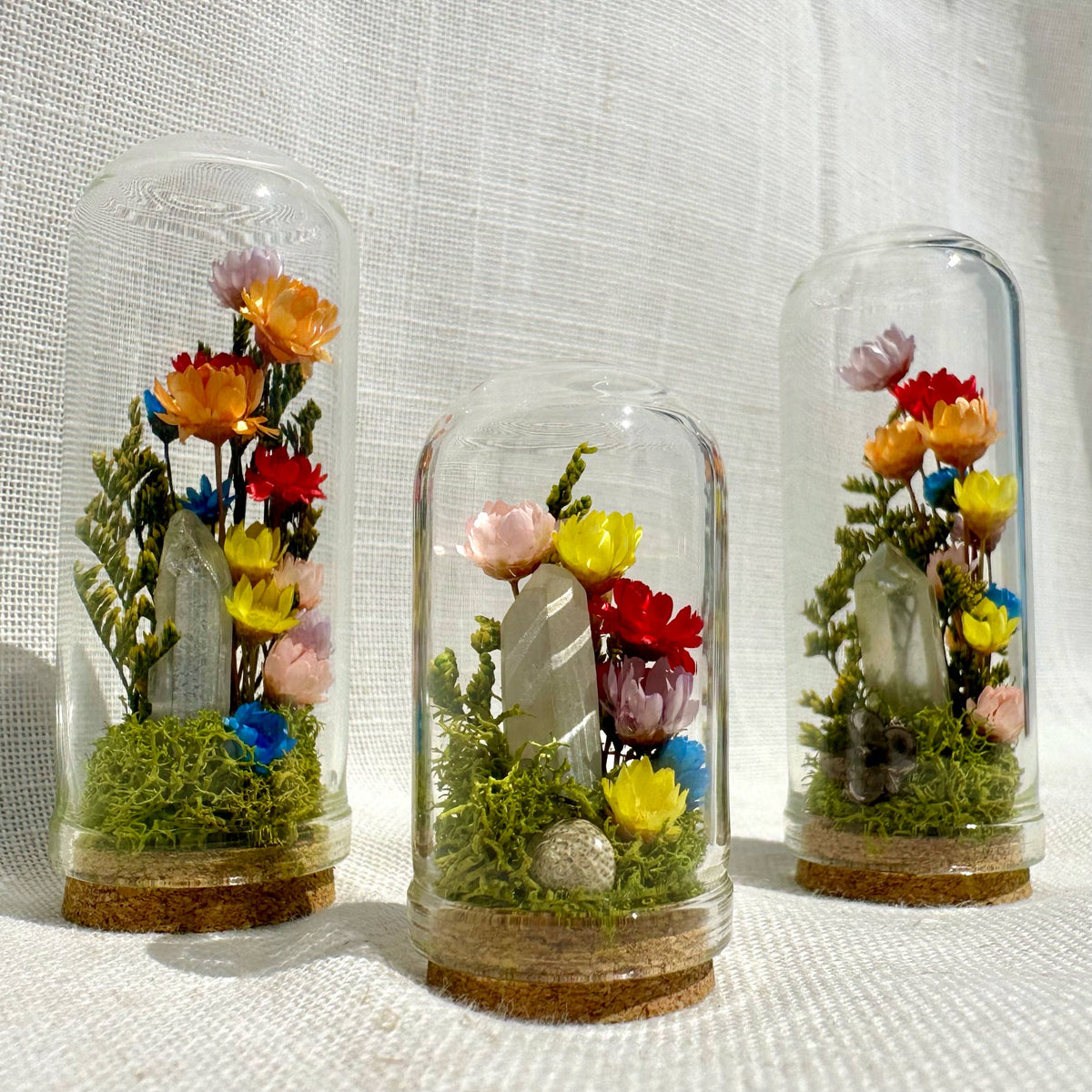 Rainbow Pride Flag Mini Cloche Terrarium