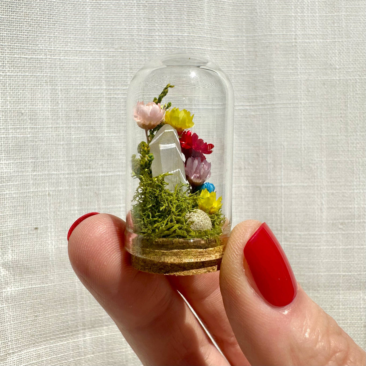 Rainbow Pride Flag Mini Cloche Terrarium