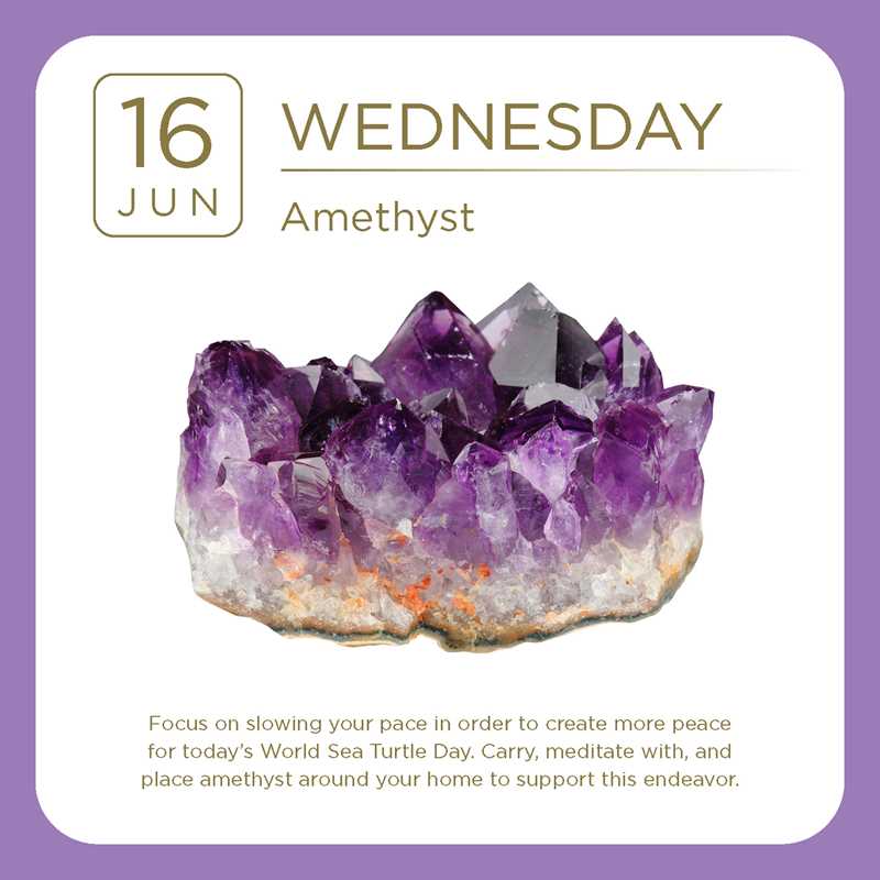 2027 Crystal Day-to-Day Calendar