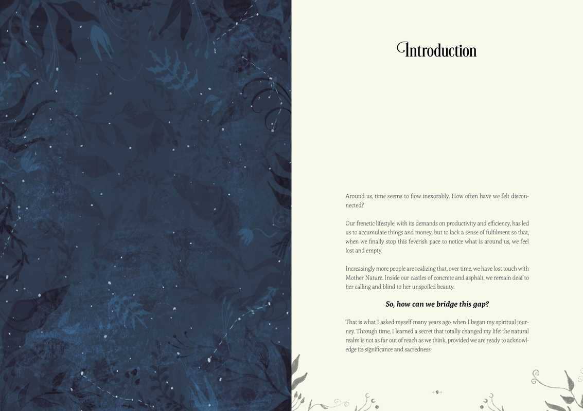 Witch's Wheel of the Year - Book