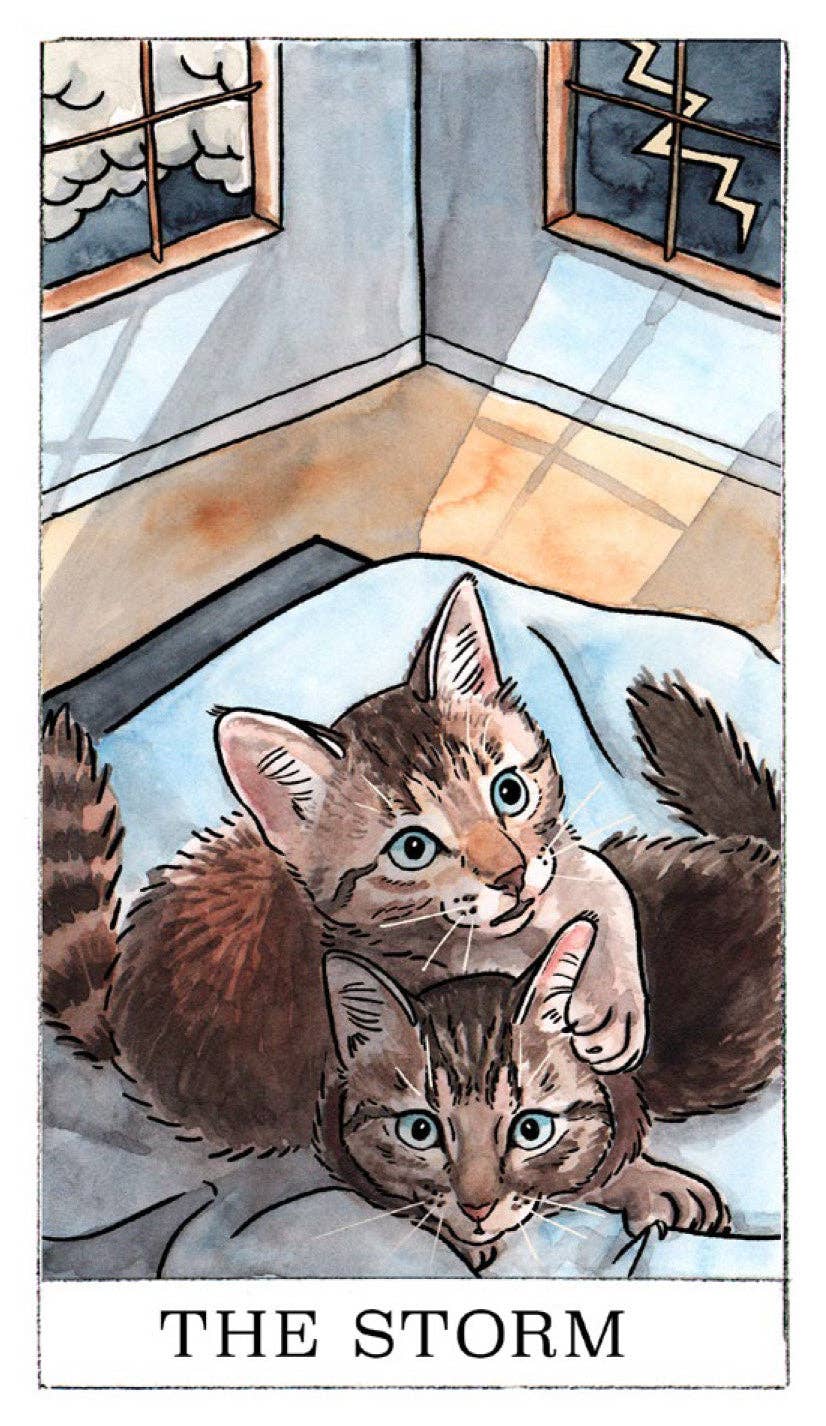 Kitten Oracle