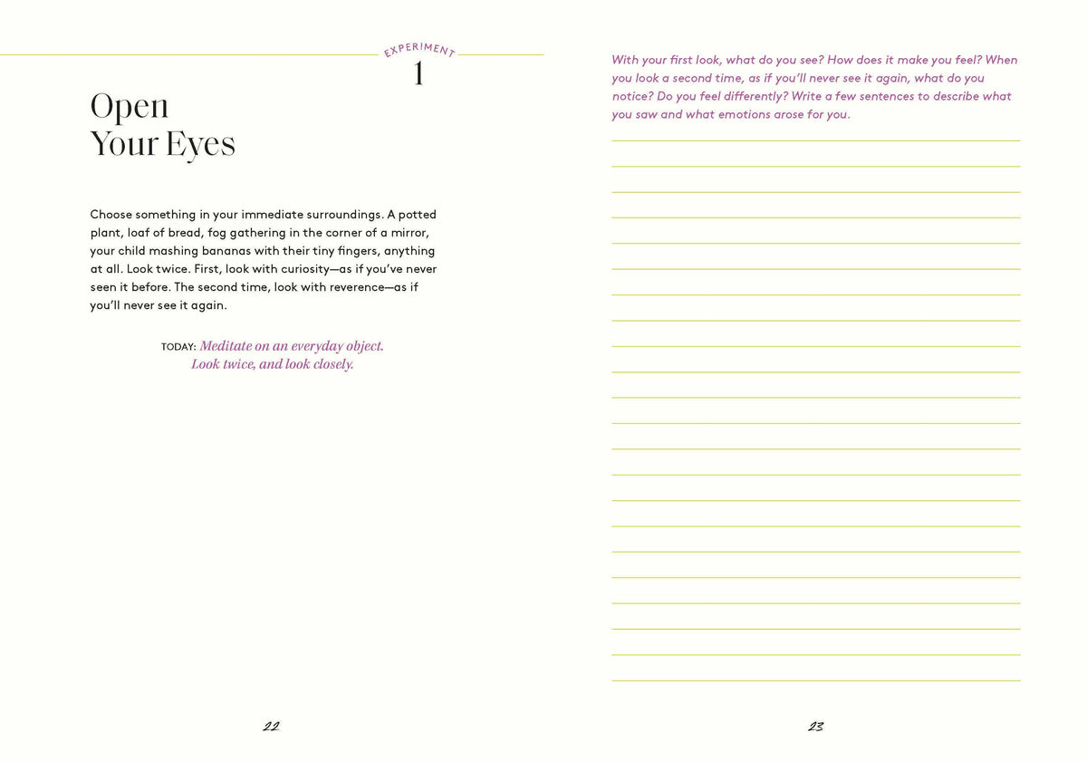 Awestruck: A Yearlong Journal