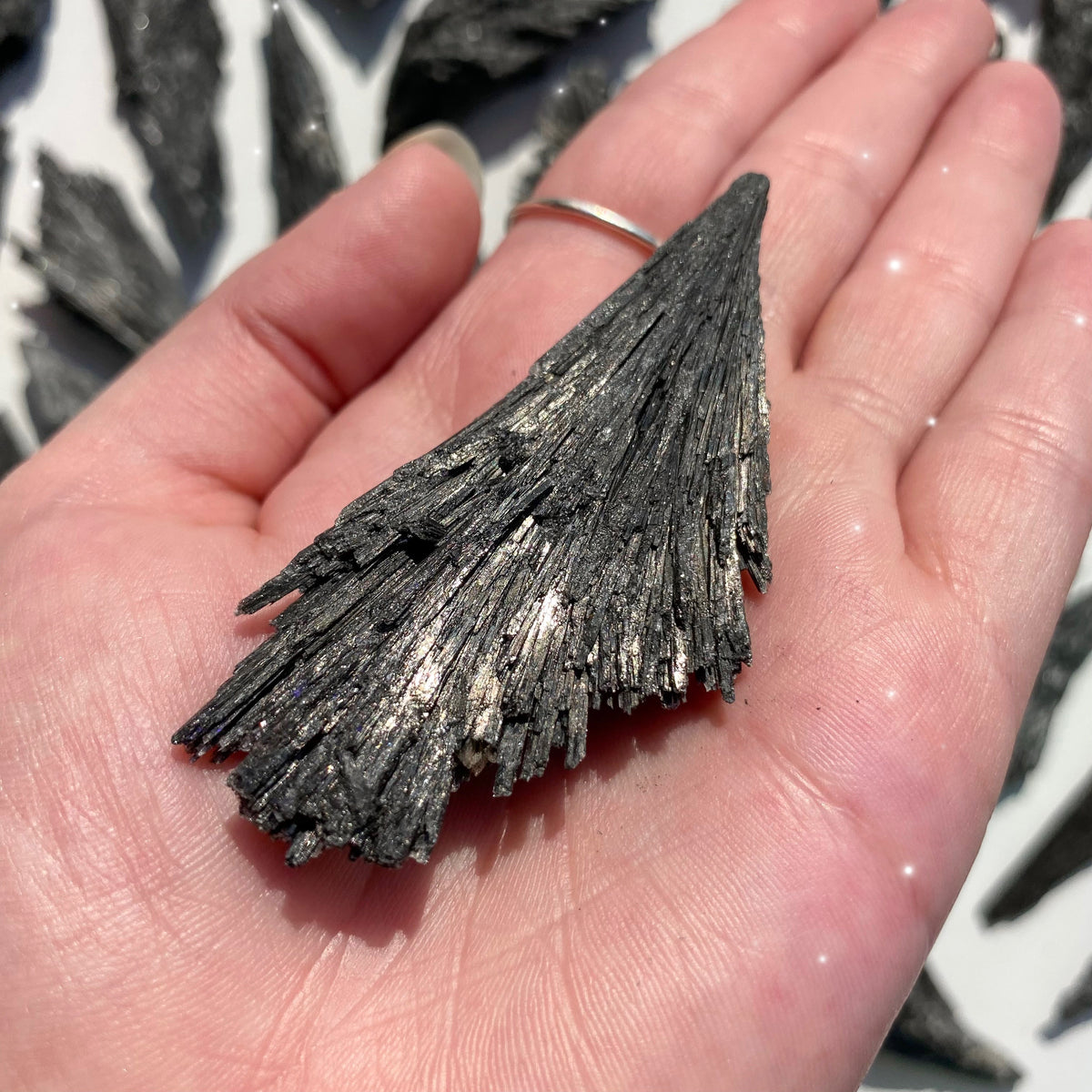 Raw Black Kyanite