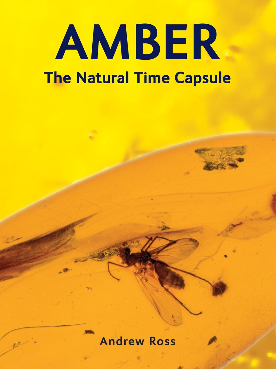 Amber : The Natural Time Capsule Book