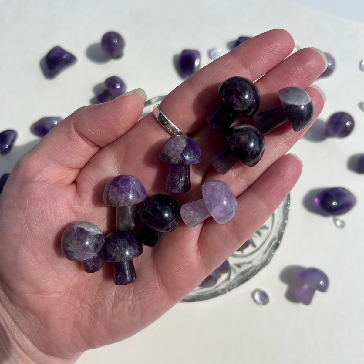 Amethyst Mushrooms - Mini