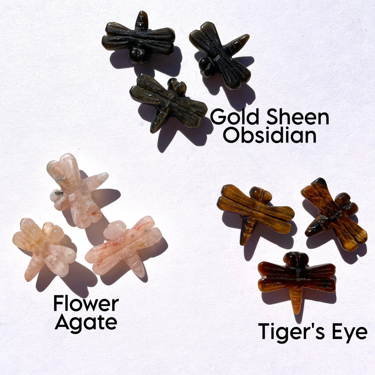 Autumnal Dragonfly Carvings