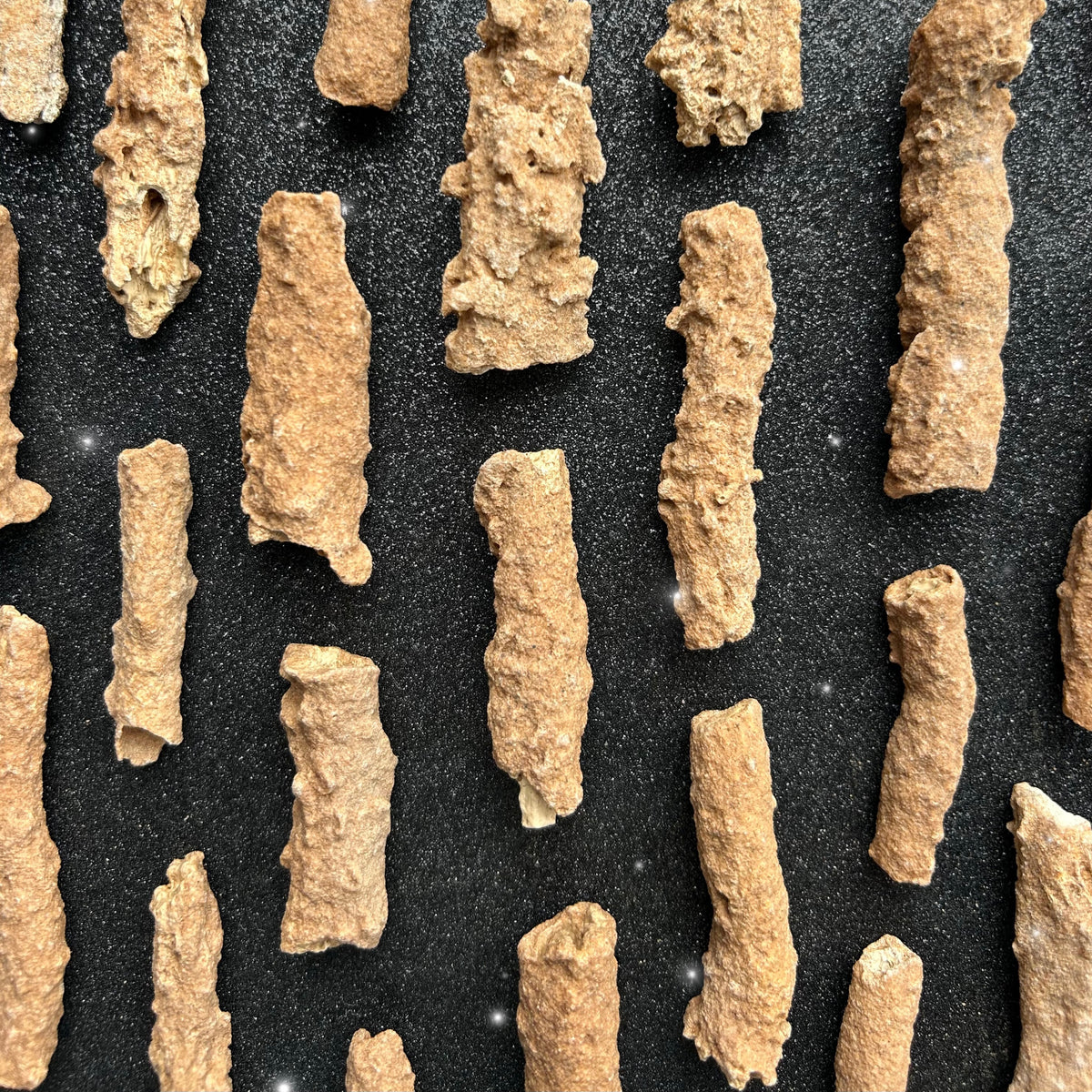 Fulgurite Specimens