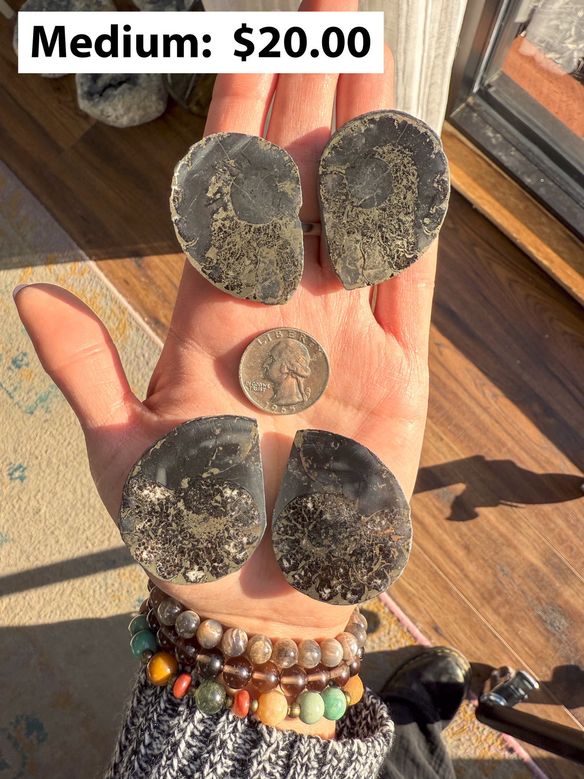 Pyritized Ammonite Pairs