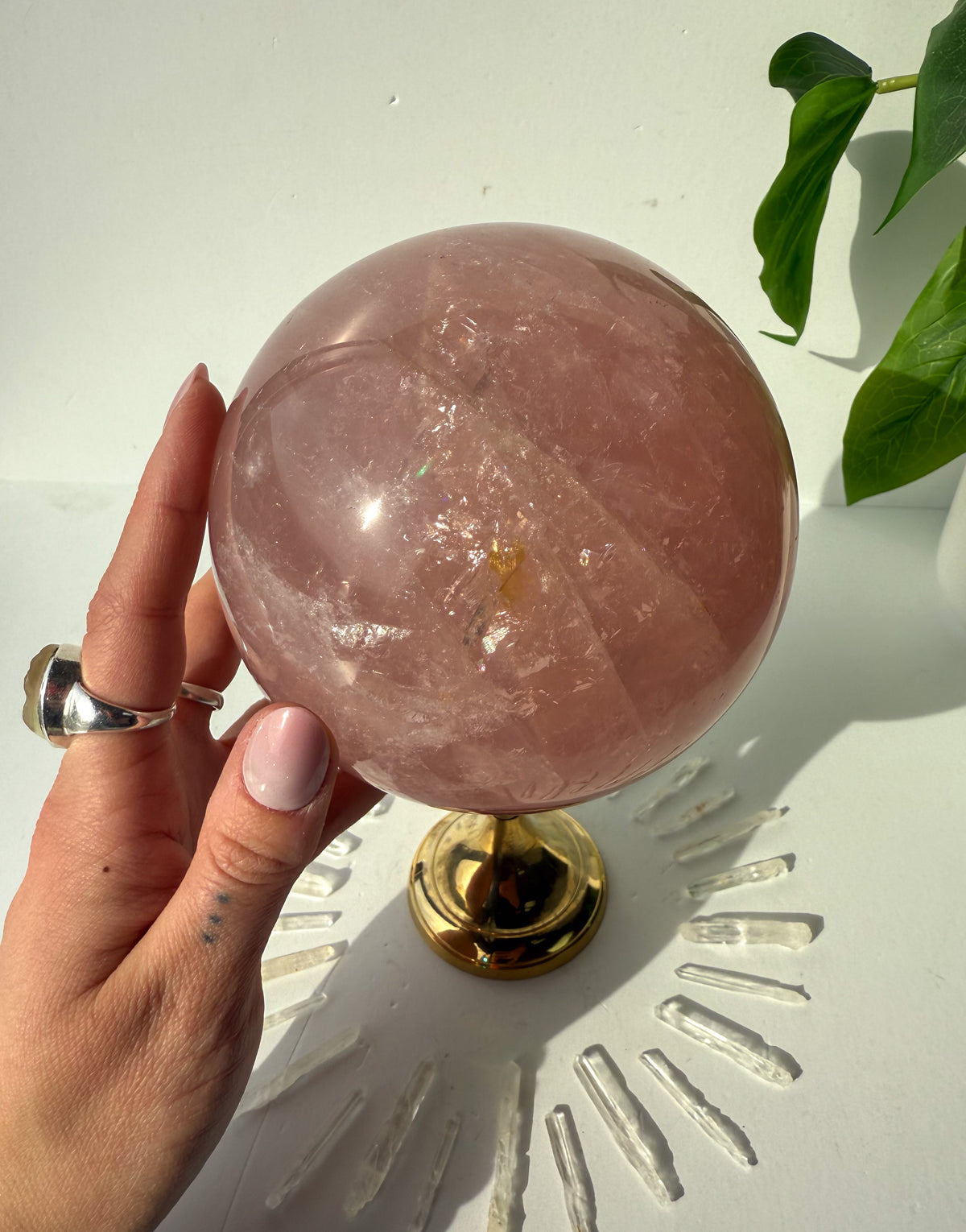 Rose Quartz Statement Sphere - M