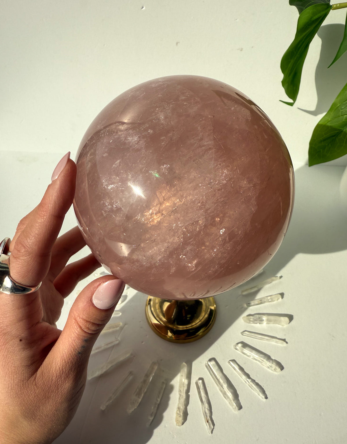 Rose Quartz Statement Sphere - M