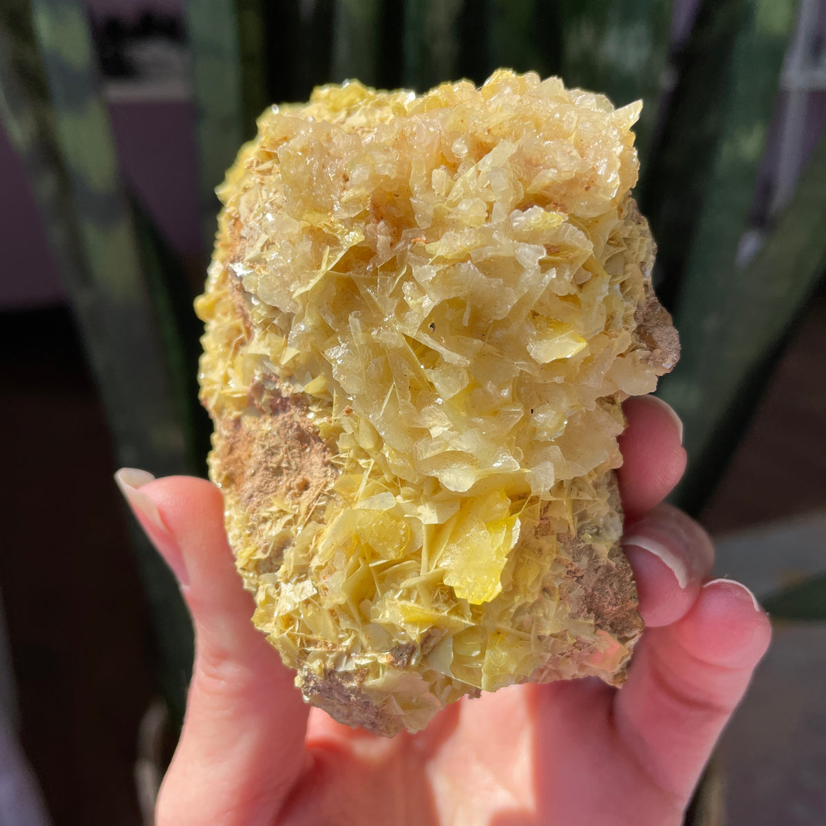 Wulfenite Statement Cluster