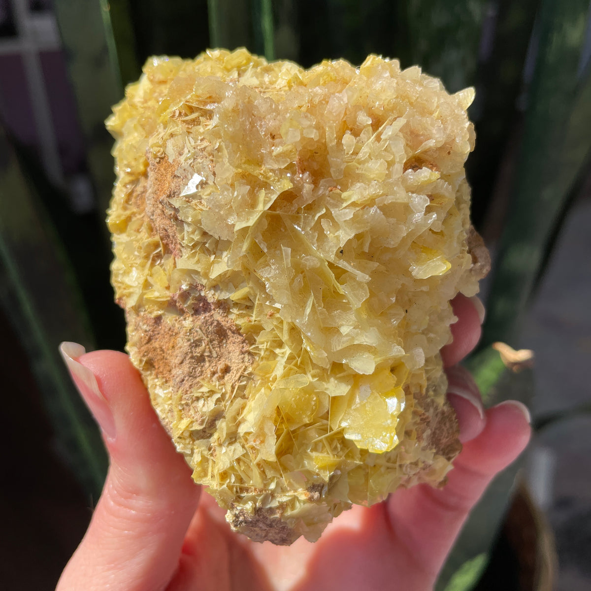 Wulfenite Statement Cluster