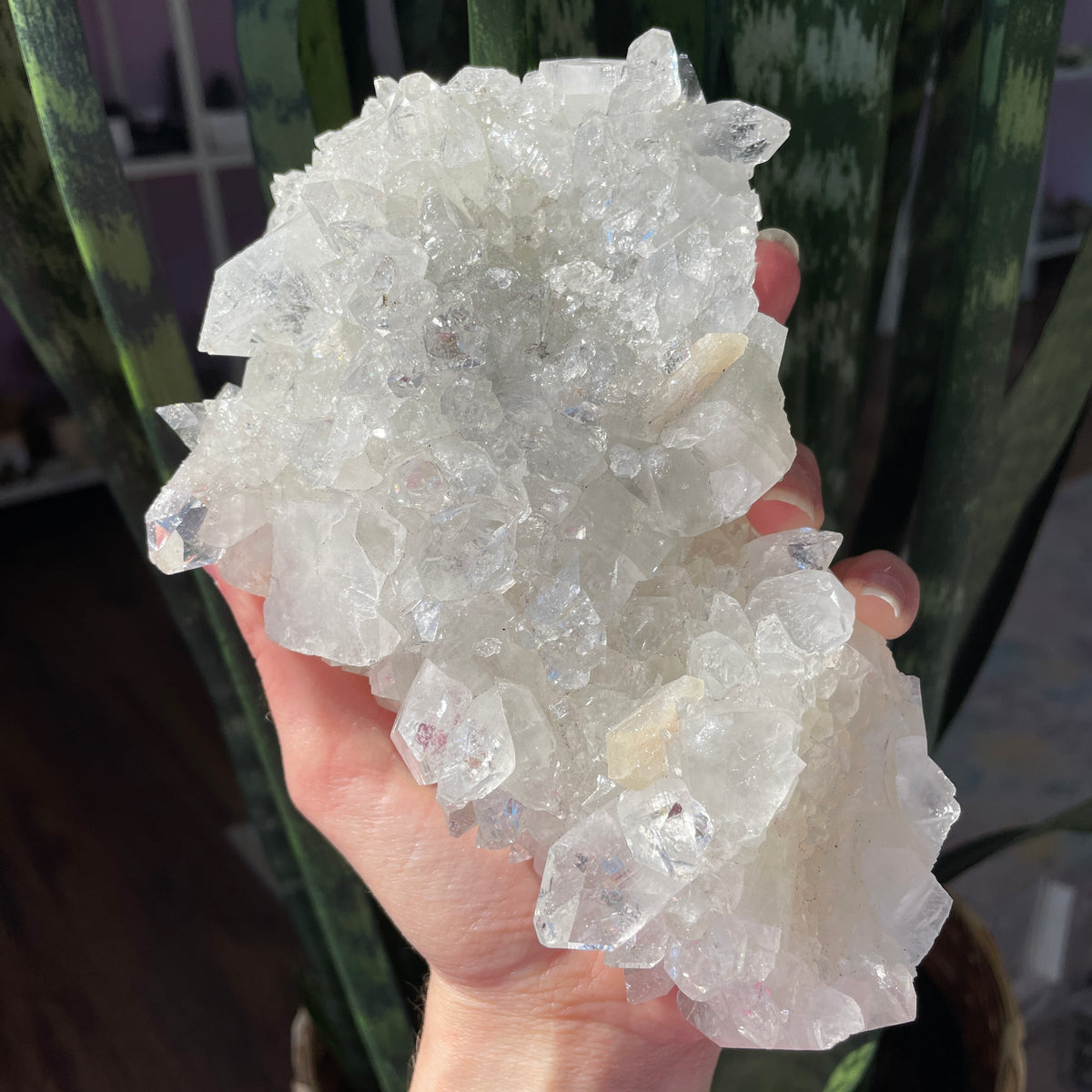 Apophyllite Statement Cluster