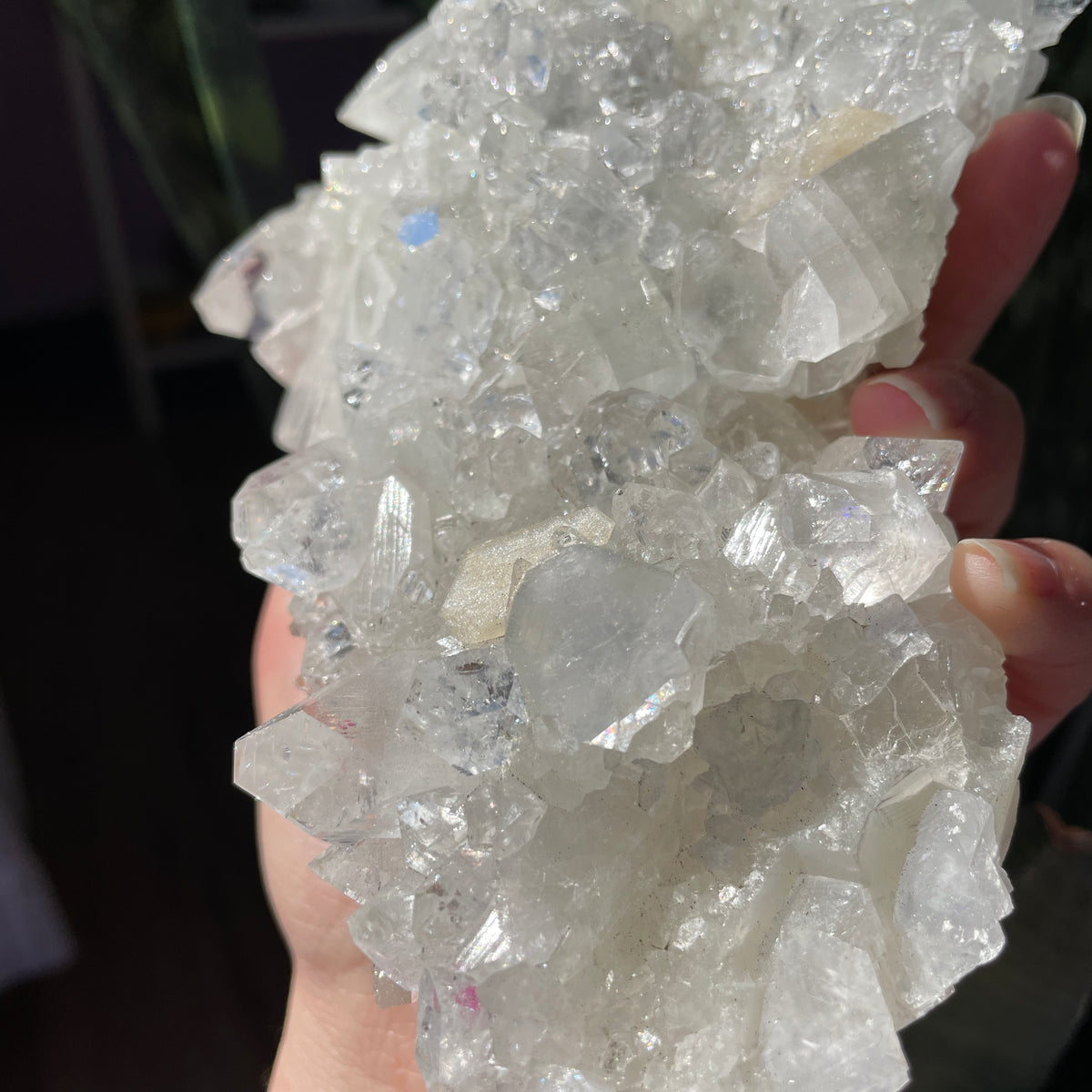 Apophyllite Statement Cluster