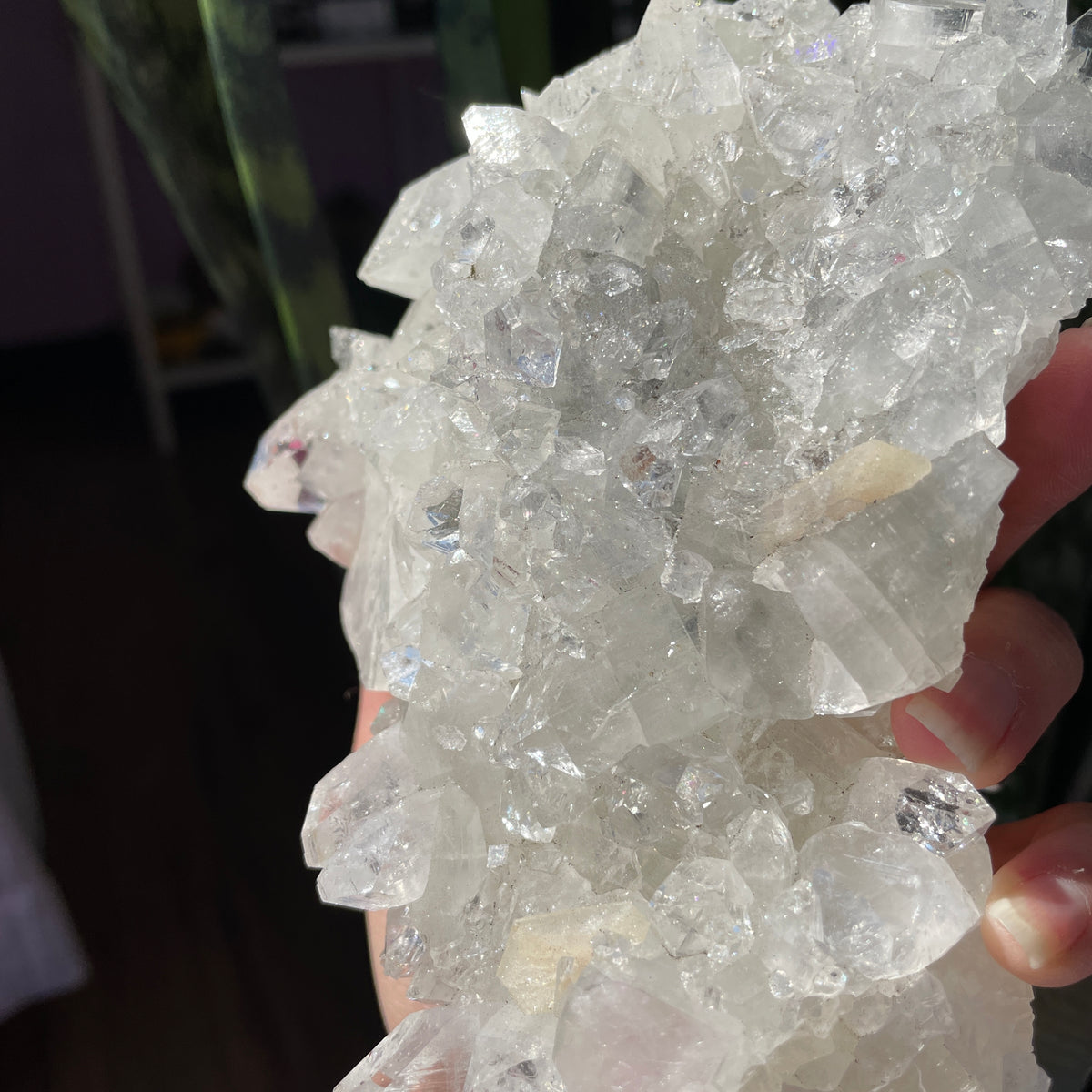 Apophyllite Statement Cluster