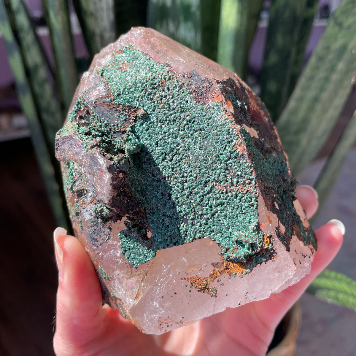 Quartz with Fibrous Malachite Statement Specimen