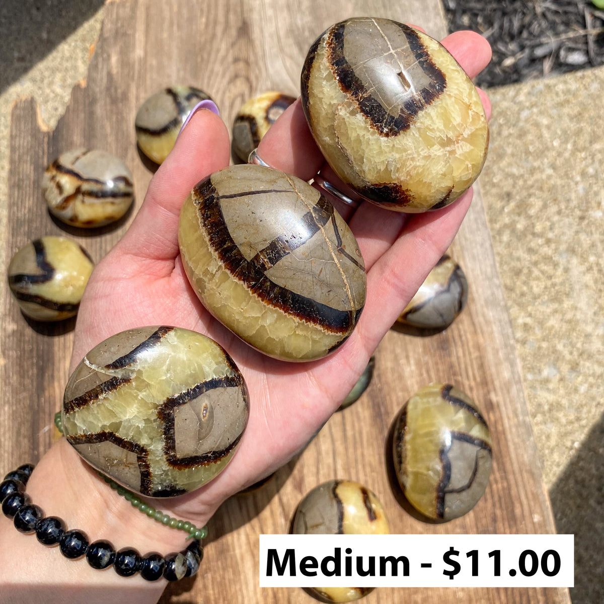 Septarian Palm Stones